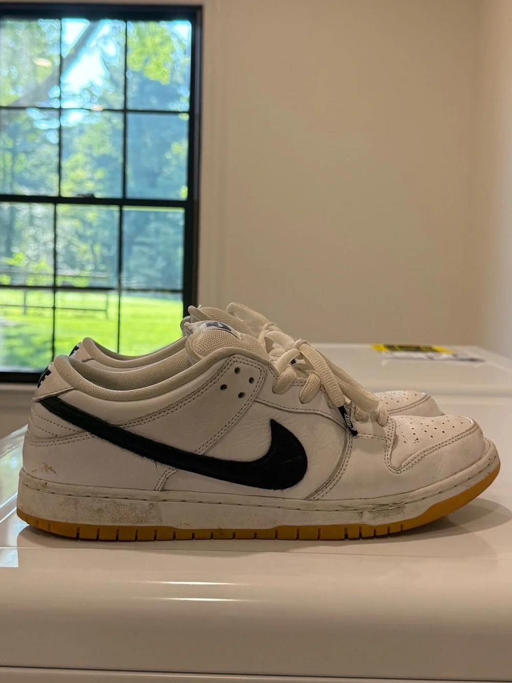 Nike SB Dunk Low Pro